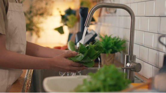 This kitchen faucet’s steady stream speeds up lettuce washing—one spray mode in the time-saving showdown.